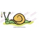 Snail Sleeping Quietly Embroidery Design